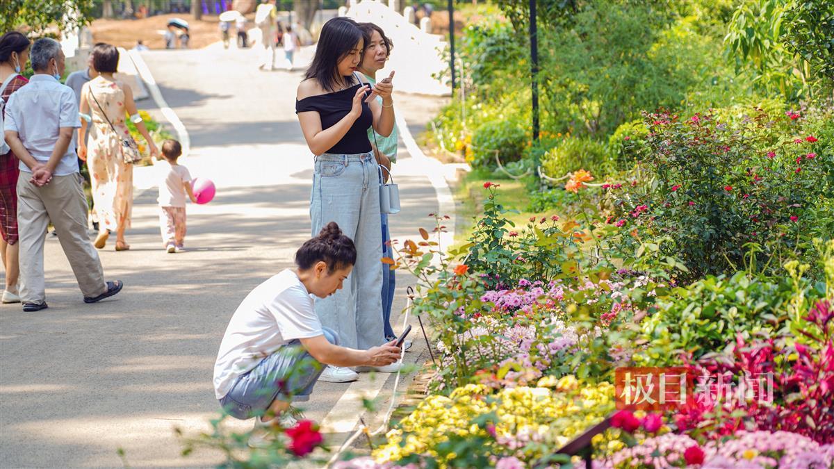 大宝娱乐lg游戏